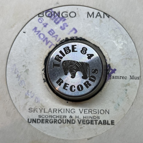 Horace Andy - Skylarking