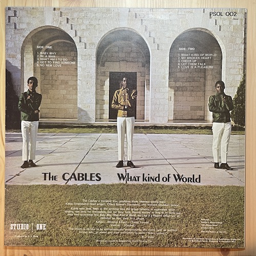 The Cables - What Kind Of World ⋆ Tribe84 Records