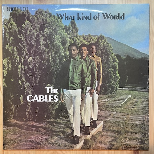 The Cables - What Kind Of World